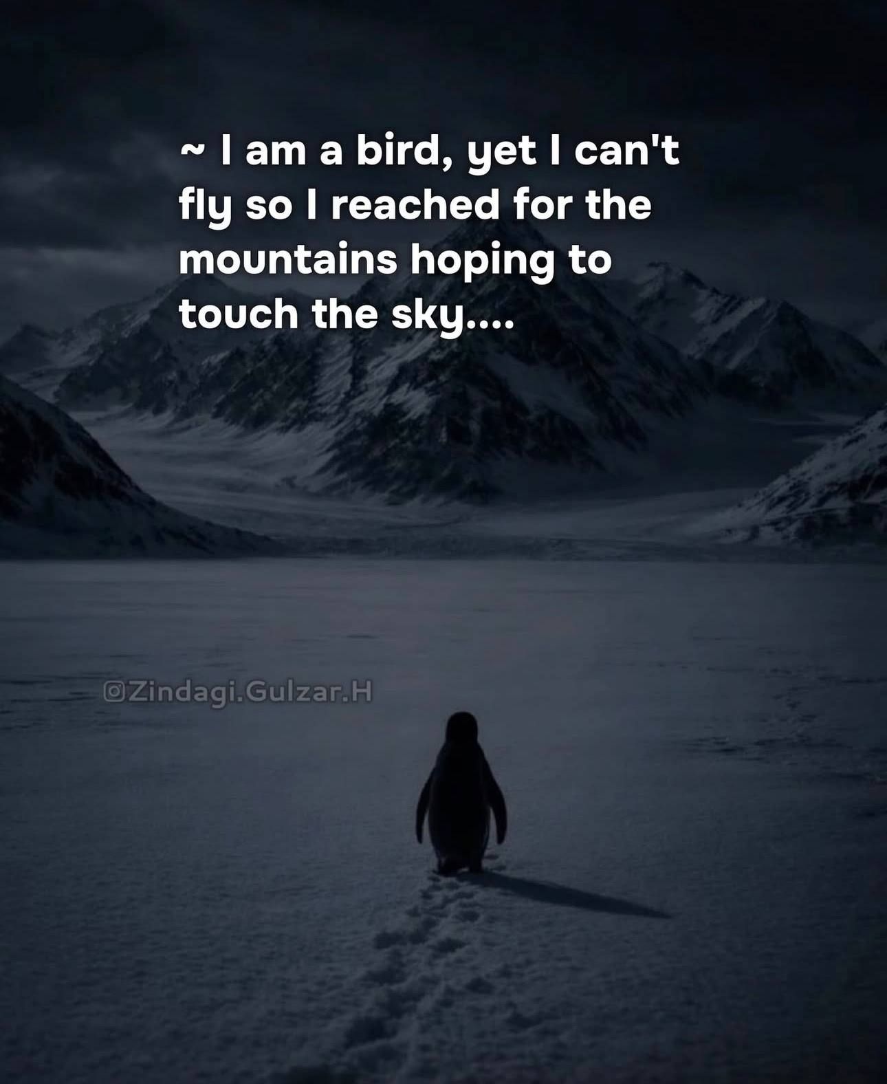 Photo 2026 01 25 11 51 02