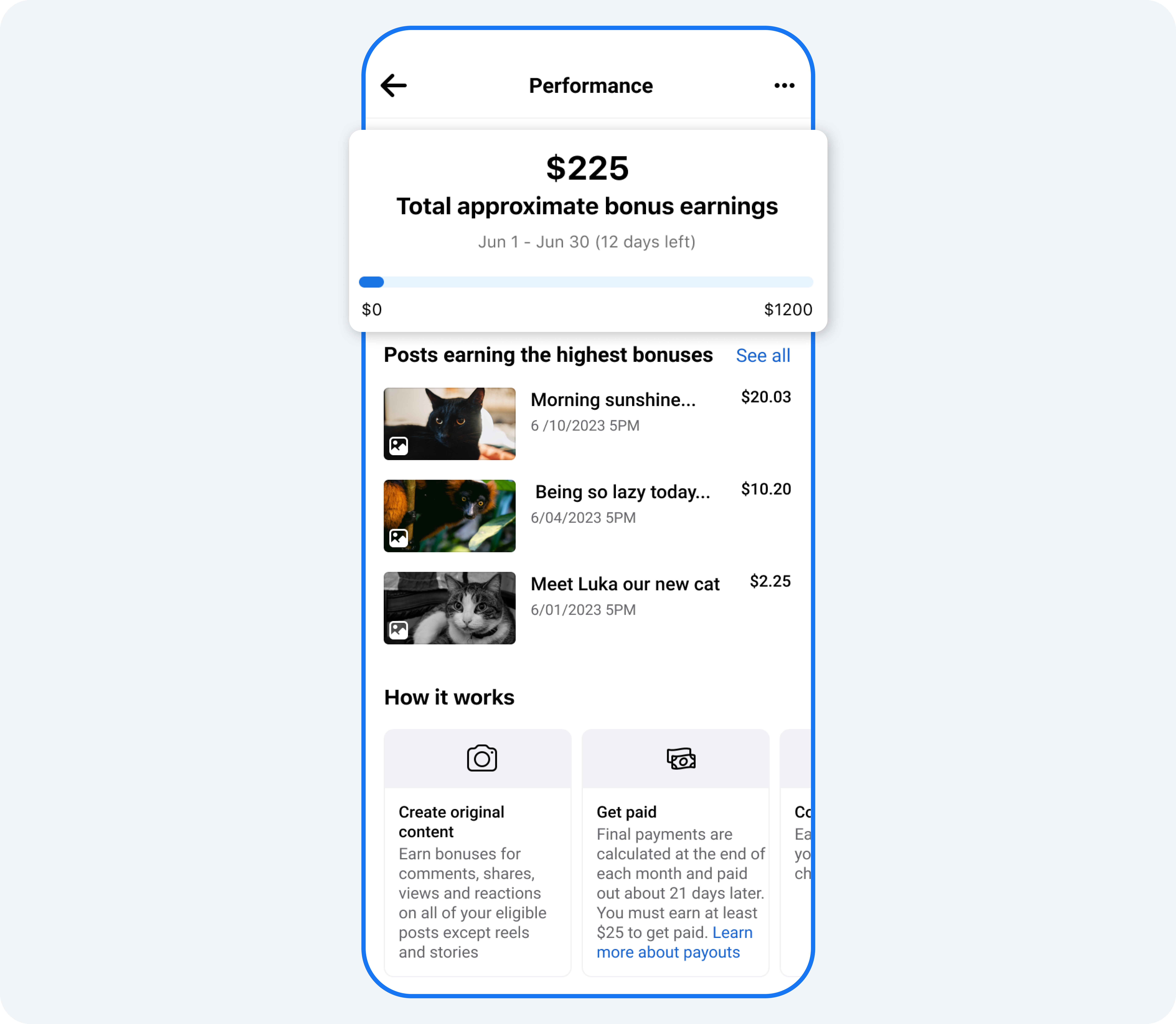 06 Performance Bonus Program