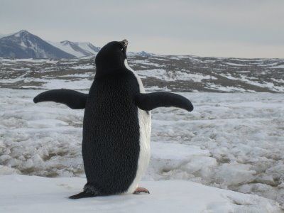 1622fe443cab35c13ce4fae03ec9b053