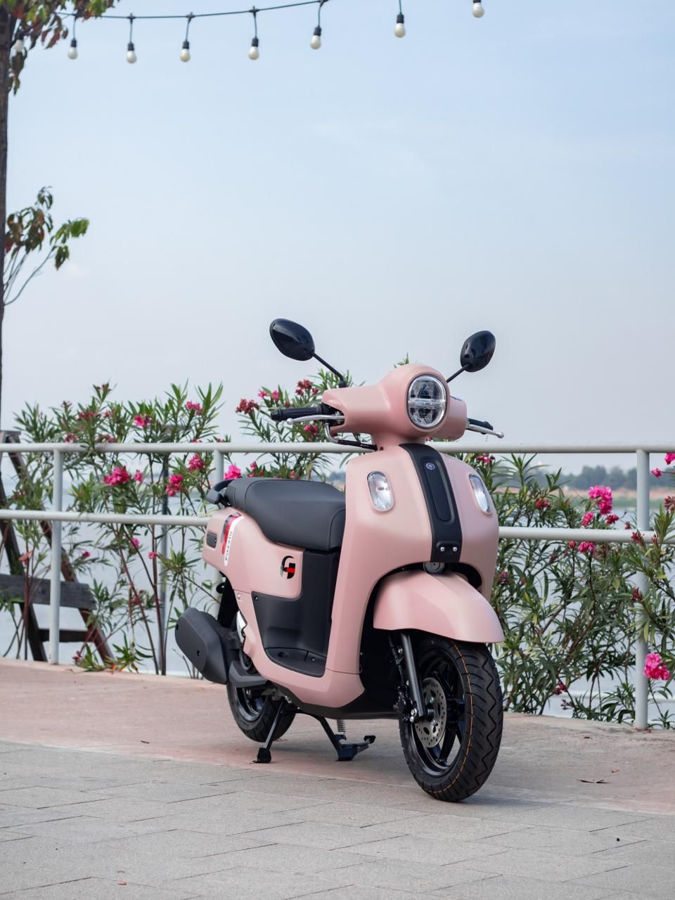 Photo 2026 02 17 12.50.38