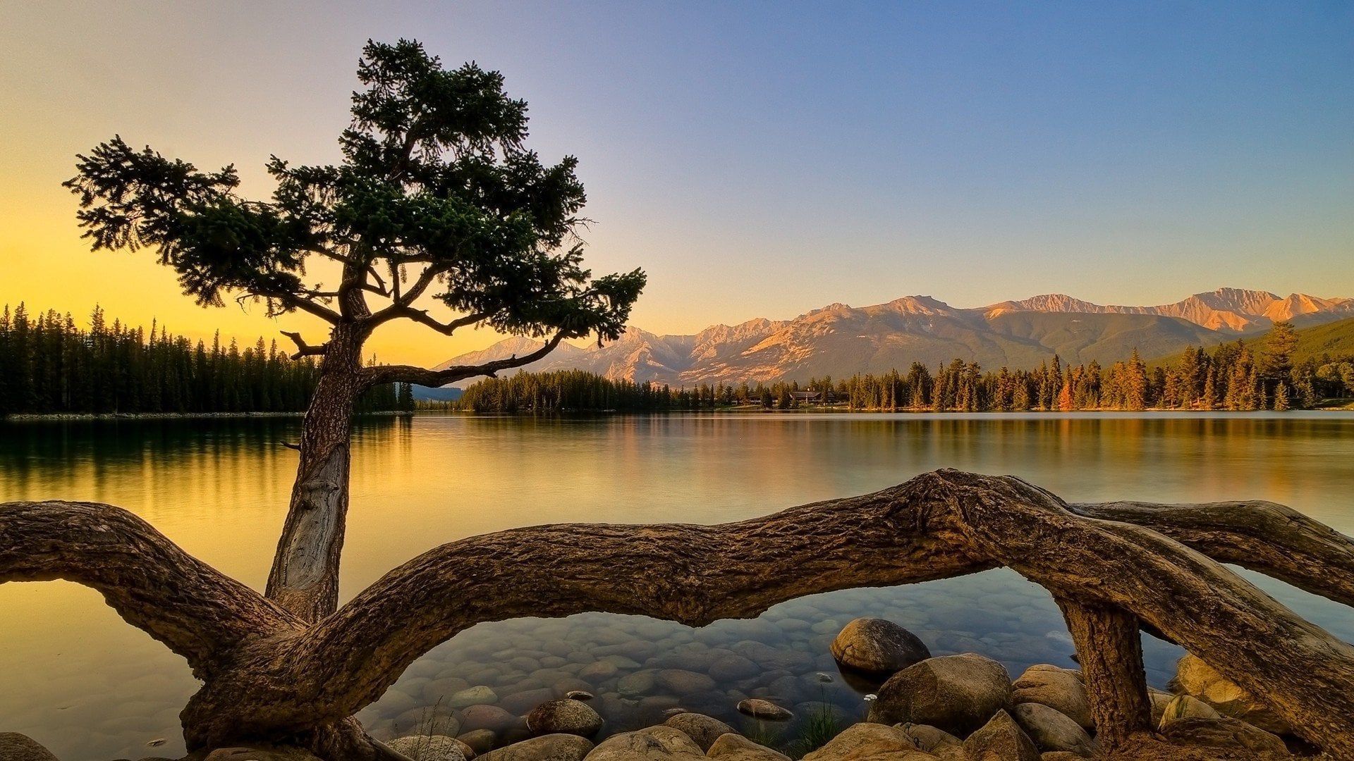 755855 Show Me Your Most Serene Awe Inspiring Mind Soothing Nature Wallpaper Ill Start