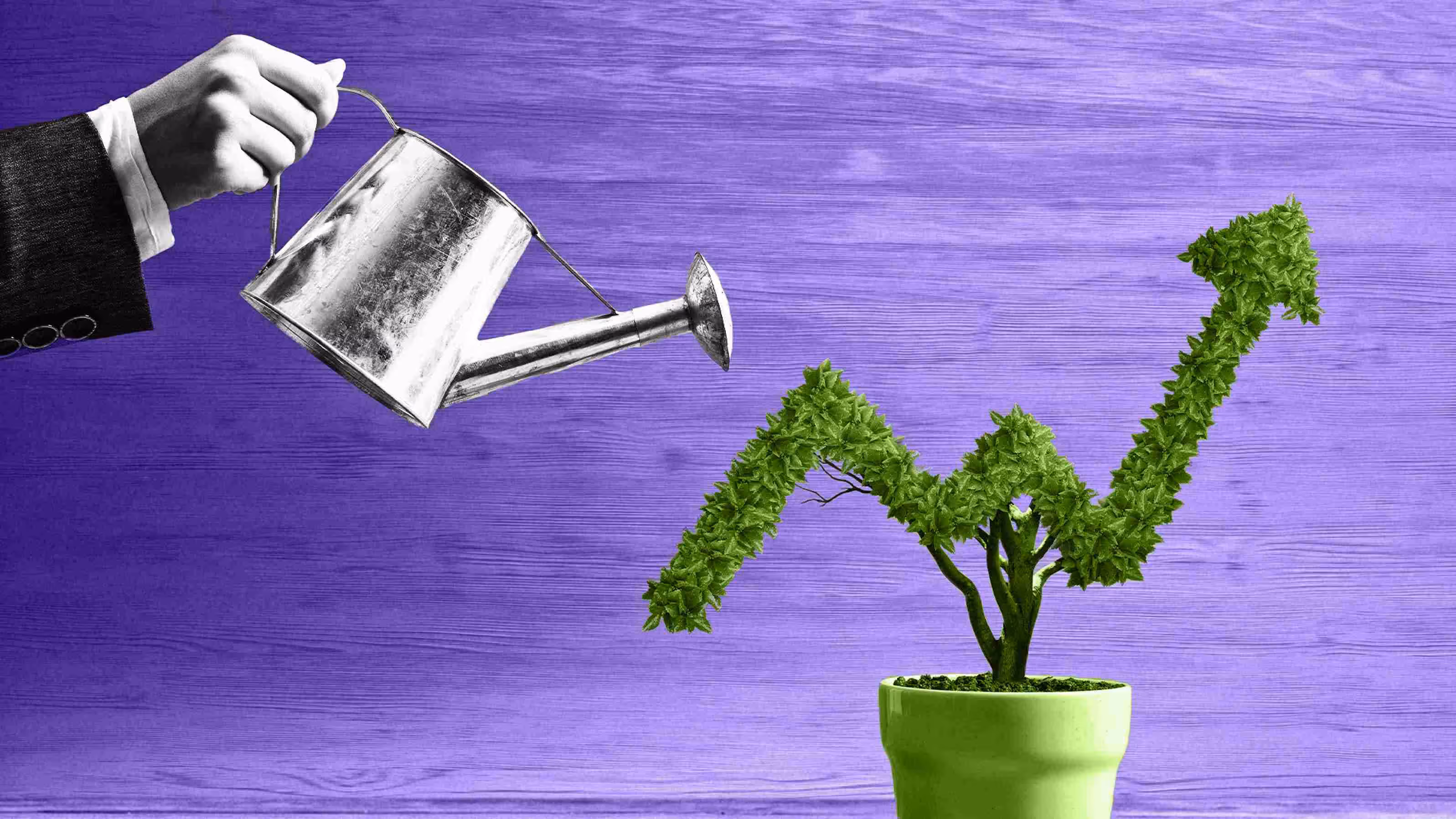 Why Business Leaders Should Prioritize Organic Growth Strategies