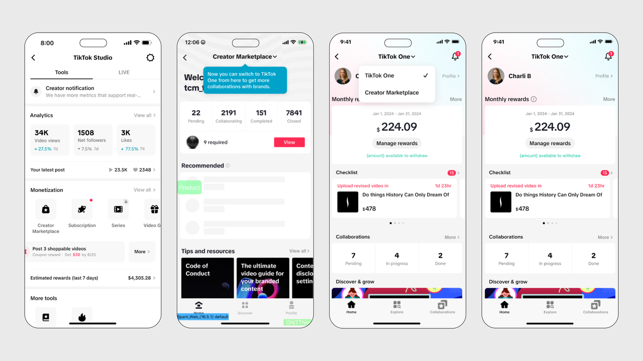 How to Make Money Tiktok