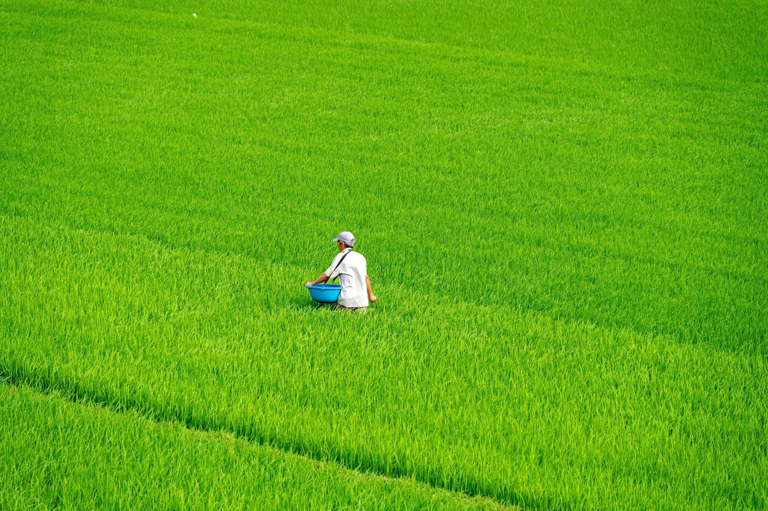 Vietnam Agriculture Scaled.jpg