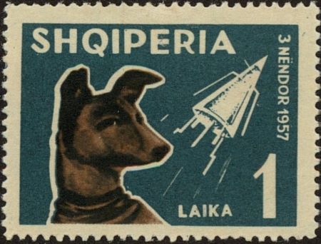 Laika2207304325762438896