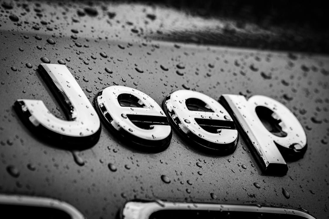 Pexels Photo 6197157