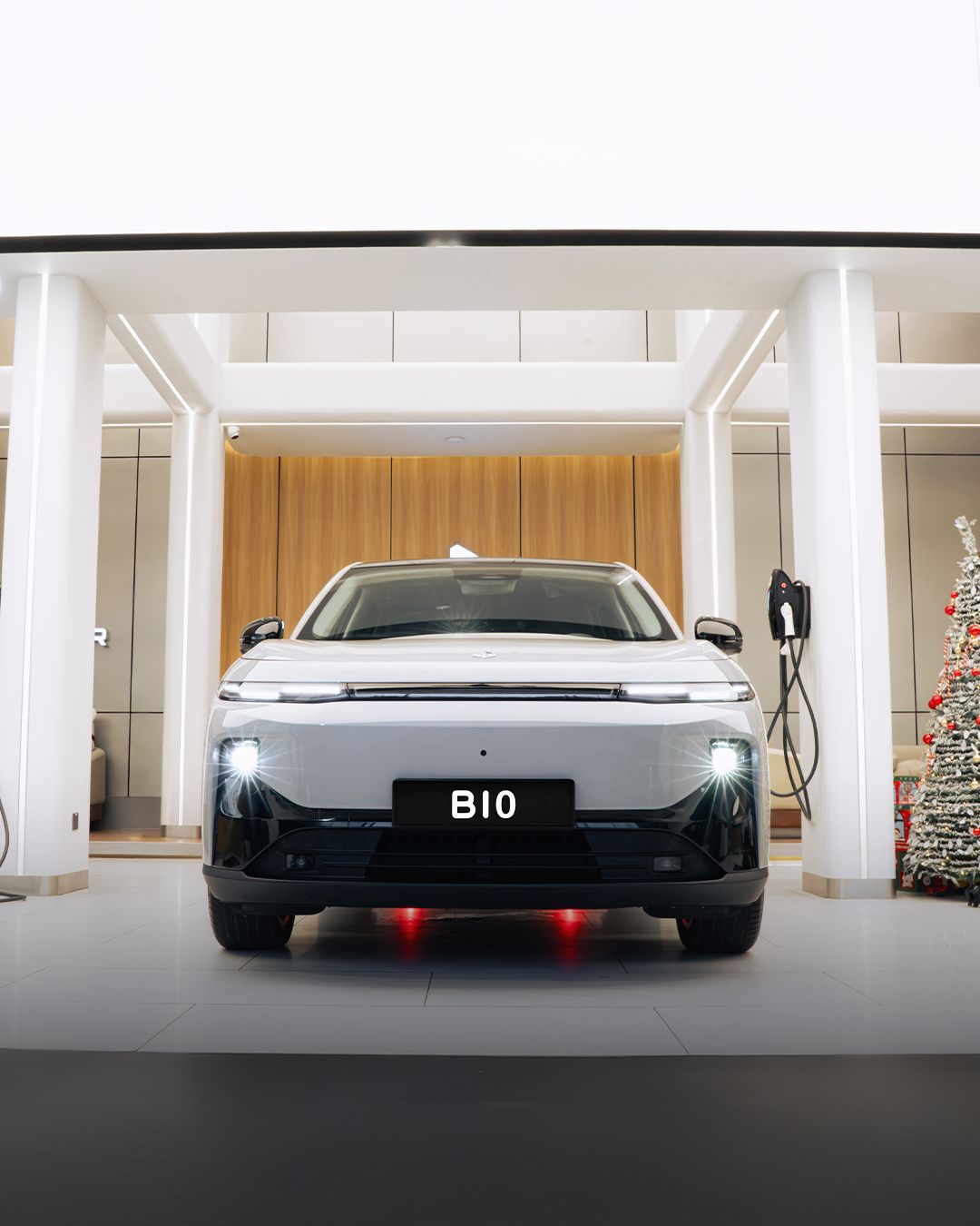 603859572 1205577055001868 3181819300403816195 N (1)