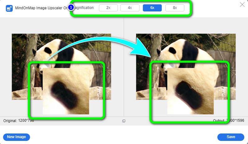 Magnification Options Upper Interface