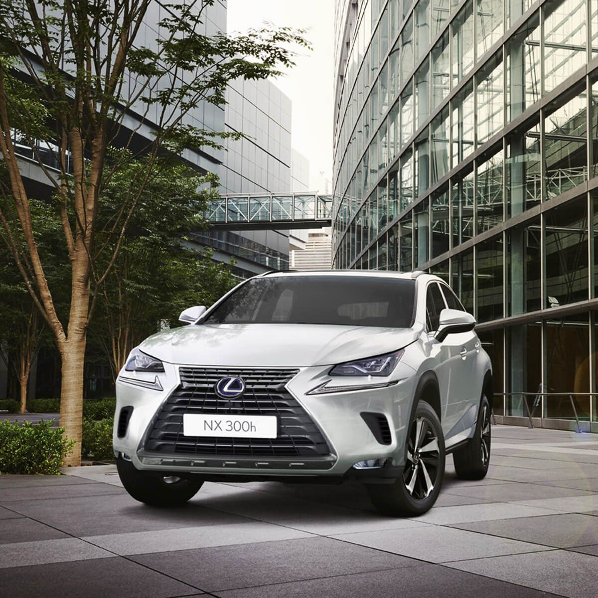 Lexus Nx300h Overview