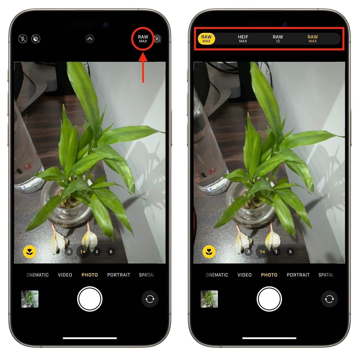 Change Pro Raw Resolution From I Phone Camera App