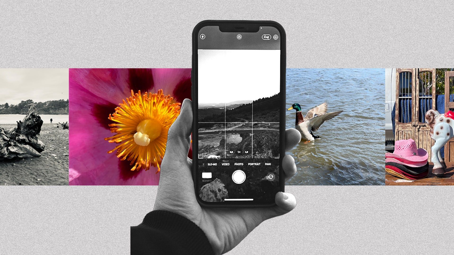 P 1 How I Finally Went All in on iPhone Photography