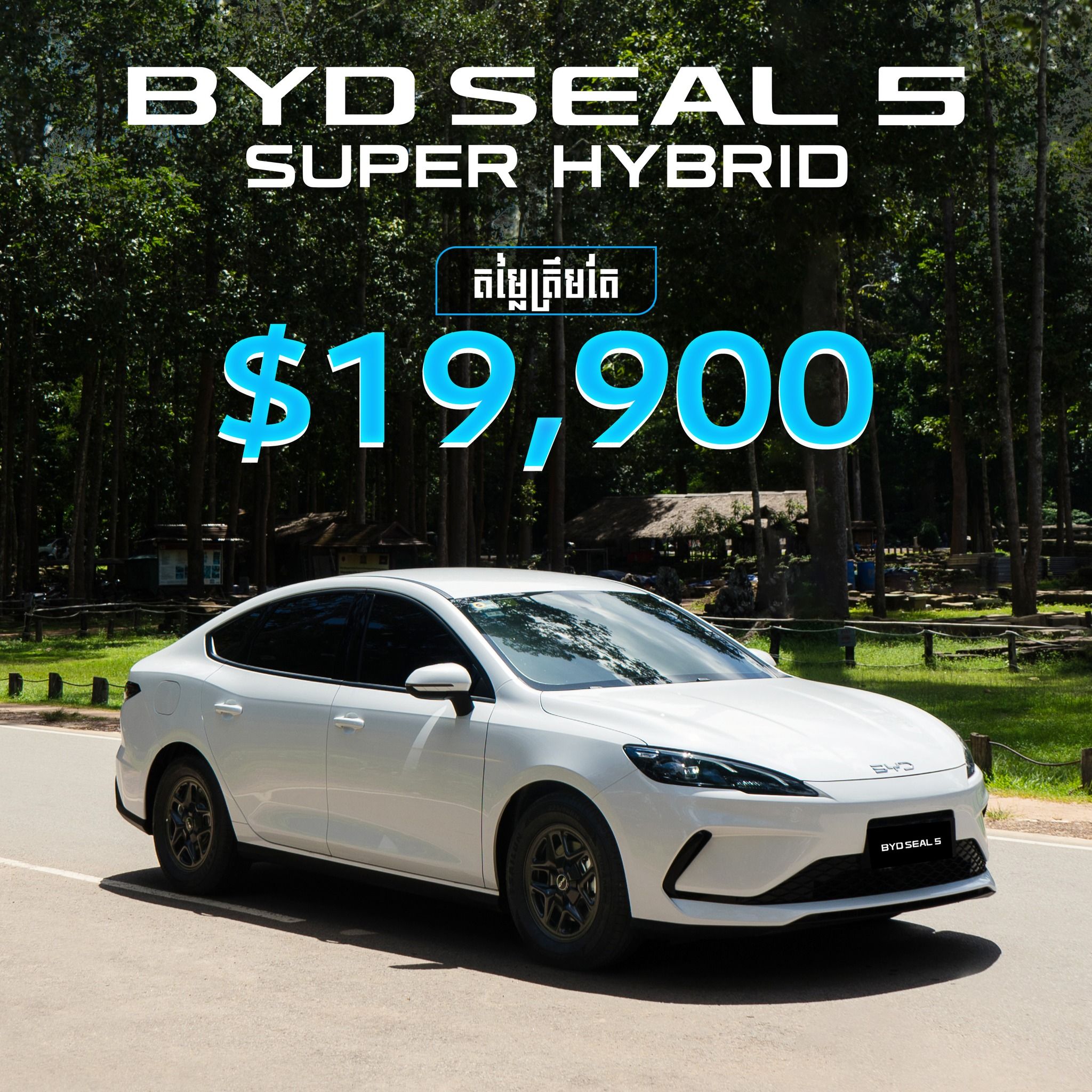 631143093 1356617109813834 1305888918645464983 N