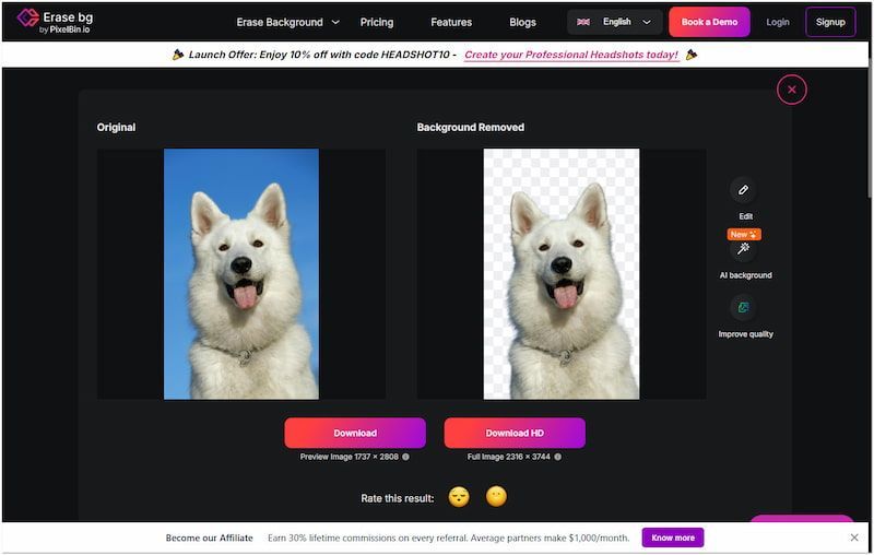 Automated Background Removal
