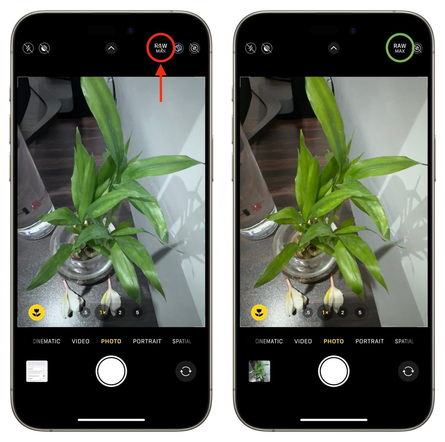 Taking Apple Pro Raw Photo Using I Phone Camera App