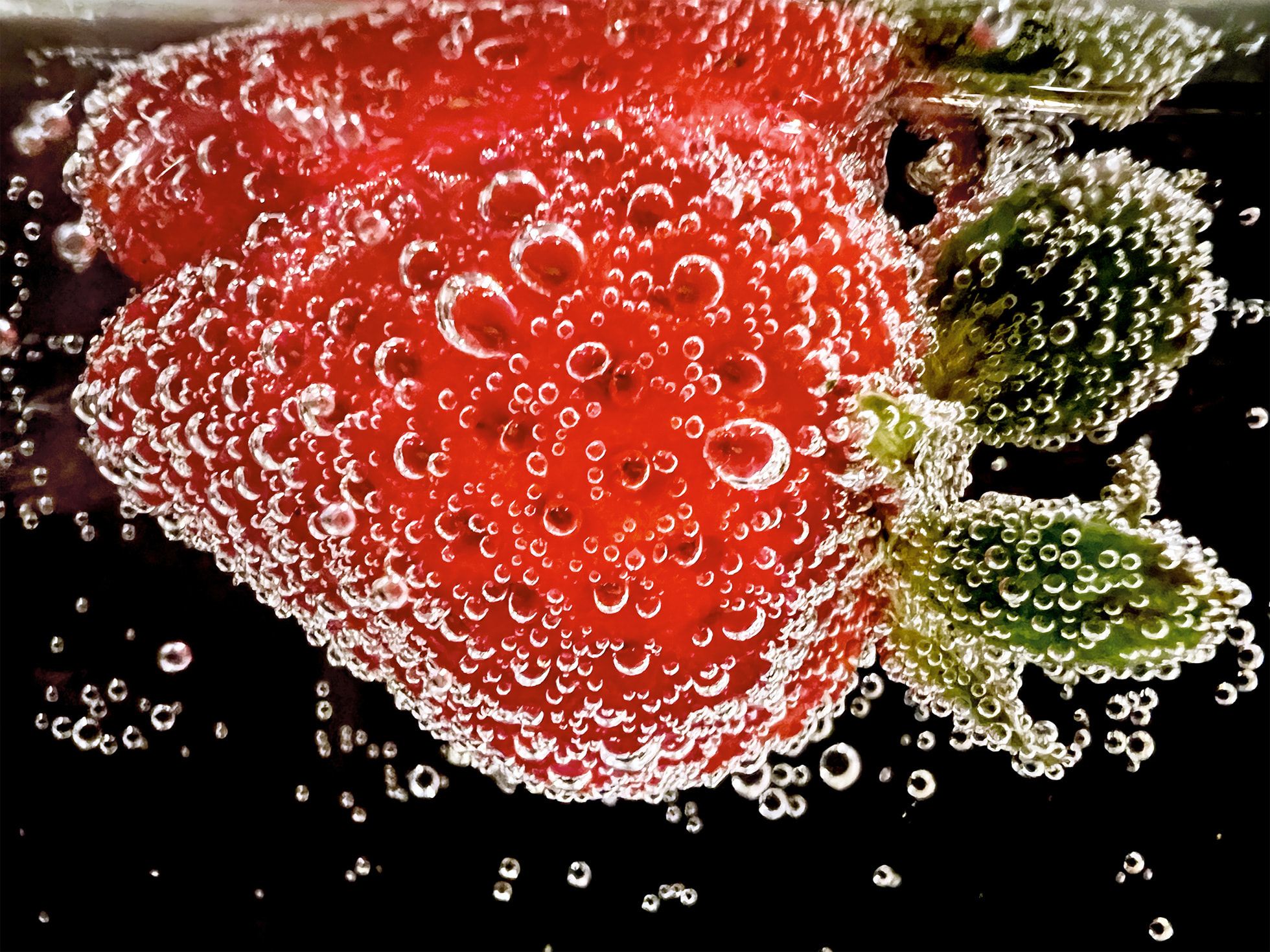Apple Shot on I Phone Macro Ashley Lee Big.jpg.large 2x
