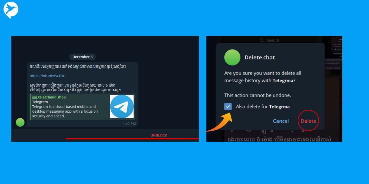 T C Pic   2025 12 03 T152324.485