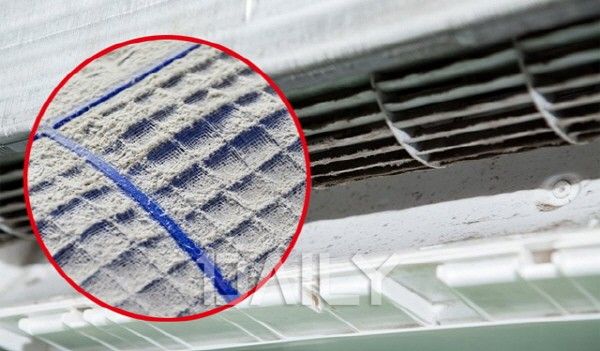 651880099 1340687571425784 5490421079620171265 N