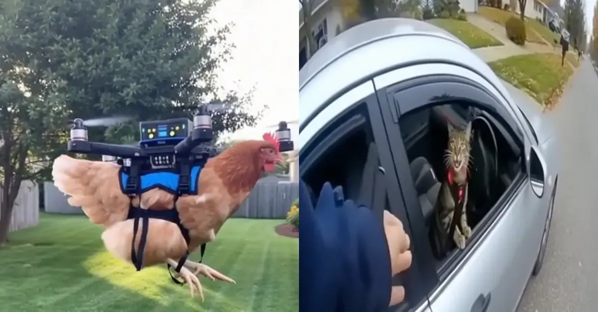 Sora 2 Viral Videos Prompts