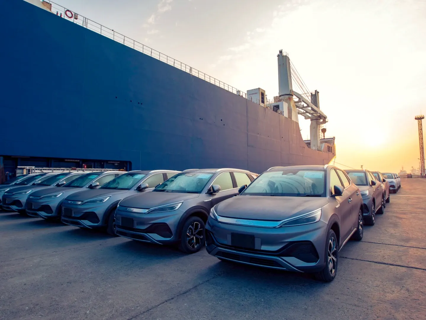 Byd S Passenger Vehicles at Port