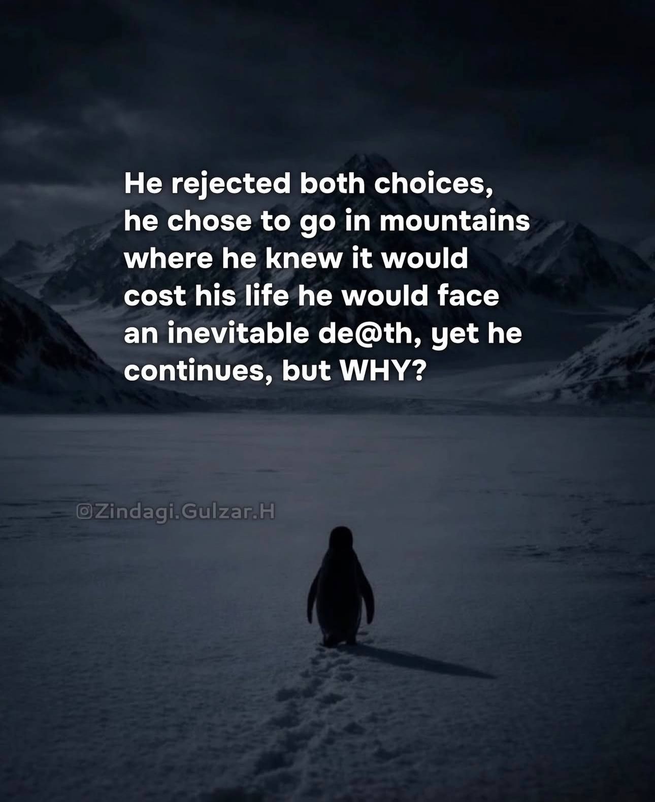 Photo 2026 01 25 11 51 09