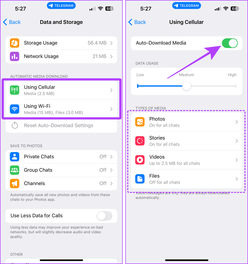 Auto Download Settings of Telegram on I Phone