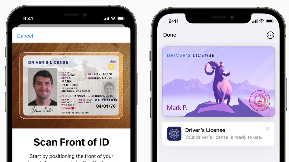  120366982 Apple Drivers
